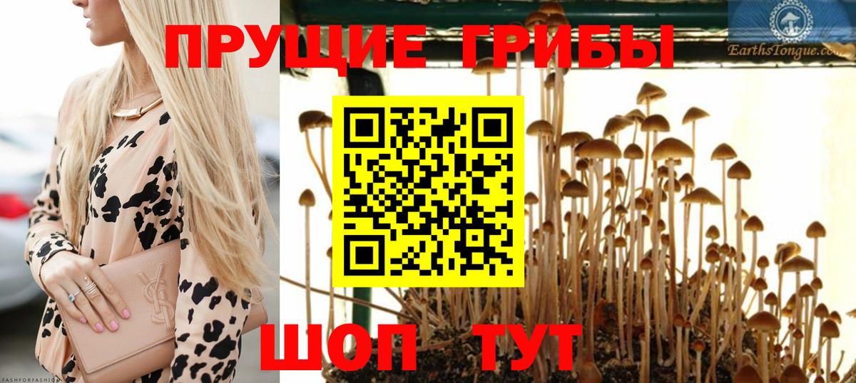 Чита  Галлюциногенные грибы GOLDEN TEACHER  Вход с VPN 